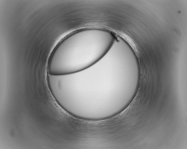 X0000115561288200912041045