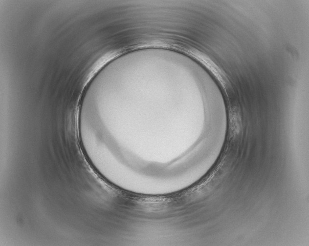 X0000115561290200912041045