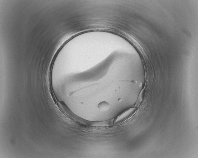 X0000115561291200912041045