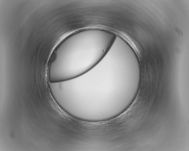 X0000115561292200912041045