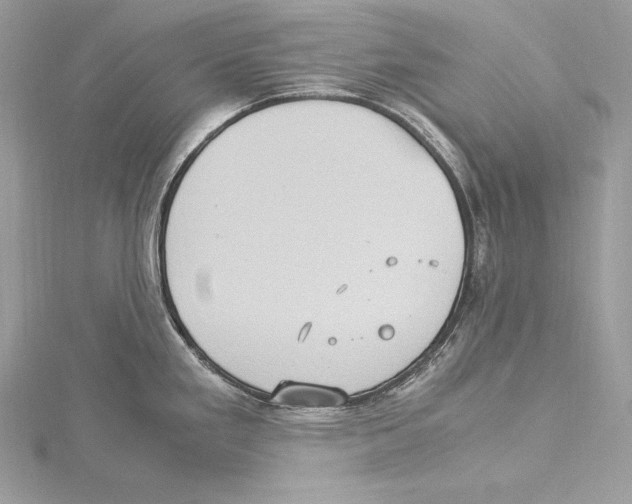 X0000115561293200912041045