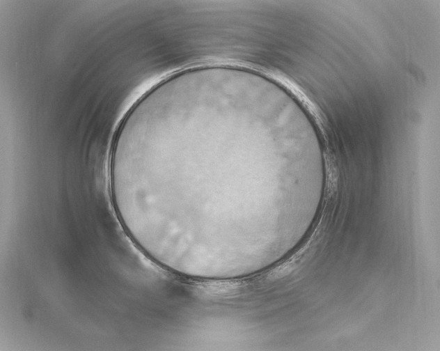 X0000115561294200912041045