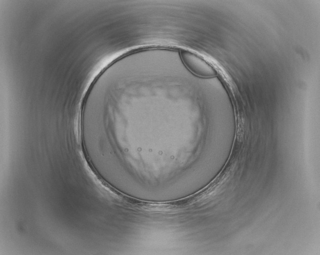 X0000115561295200912041045