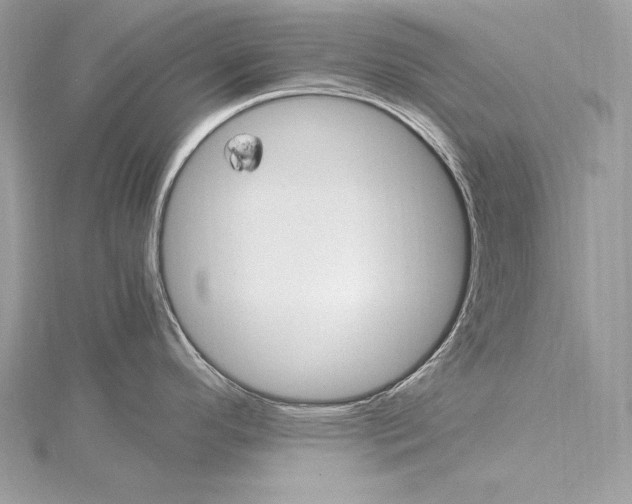 X0000115561296200912041045