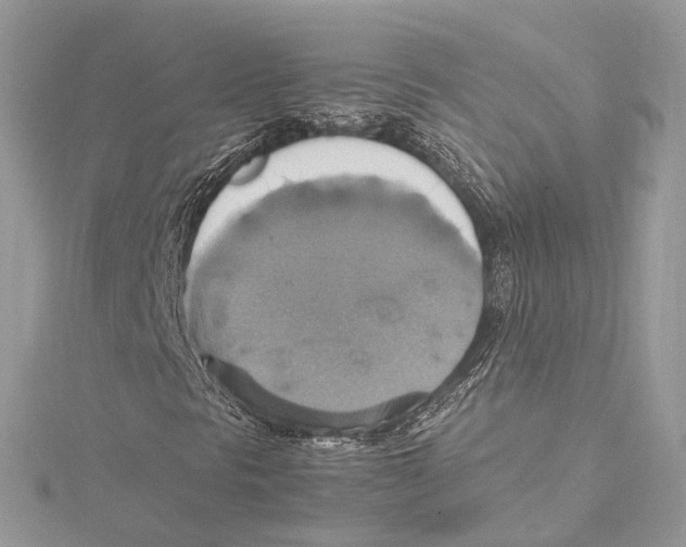 X0000115561297200912041044