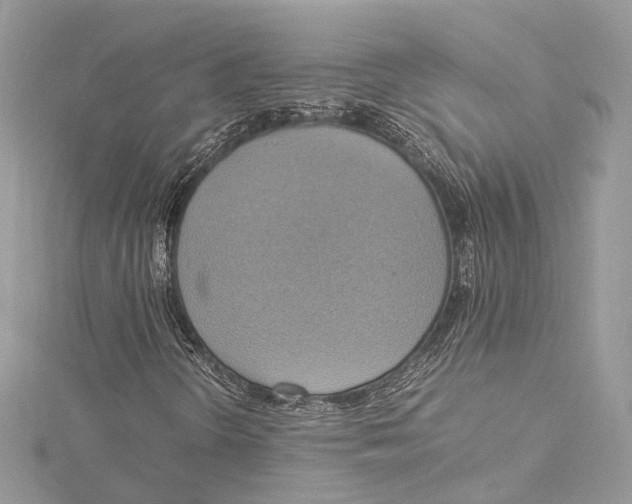 X0000115561298200912041044