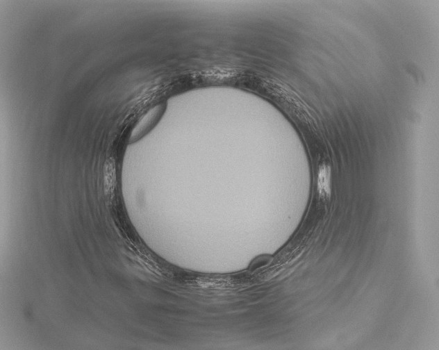 X0000115561299200912041044