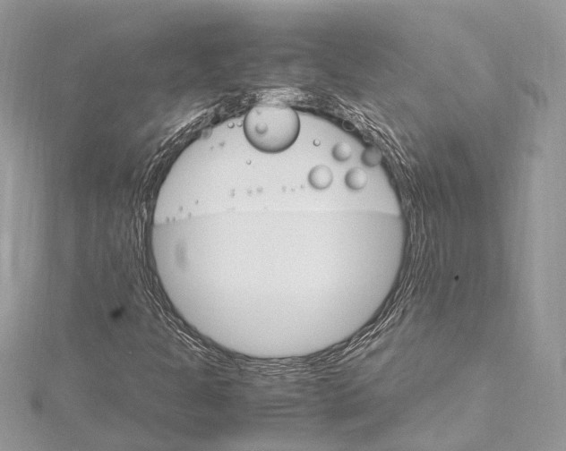 X0000115561301200912041044