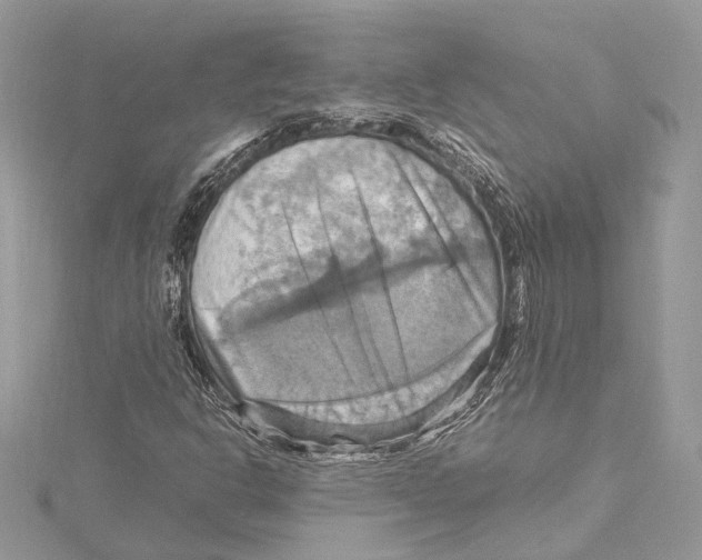 X0000115561302200912041044