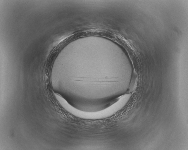 X0000115561303200912041044