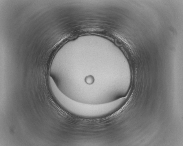 X0000115561305200912041044