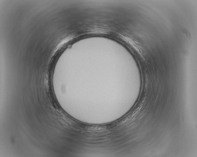 X0000115561307200912041044