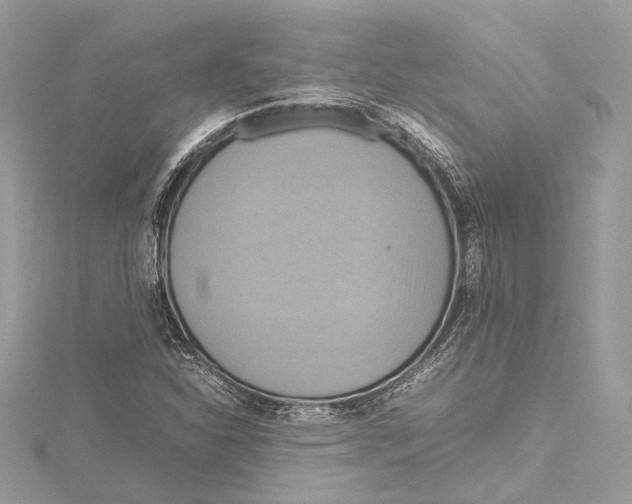 X0000115561310200912041044