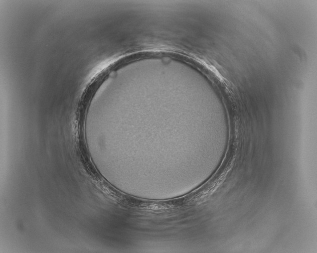 X0000115561311200912041044