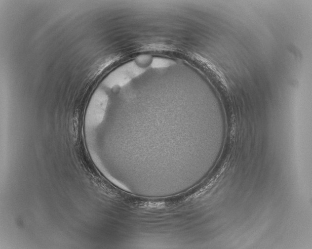 X0000115561313200912041044