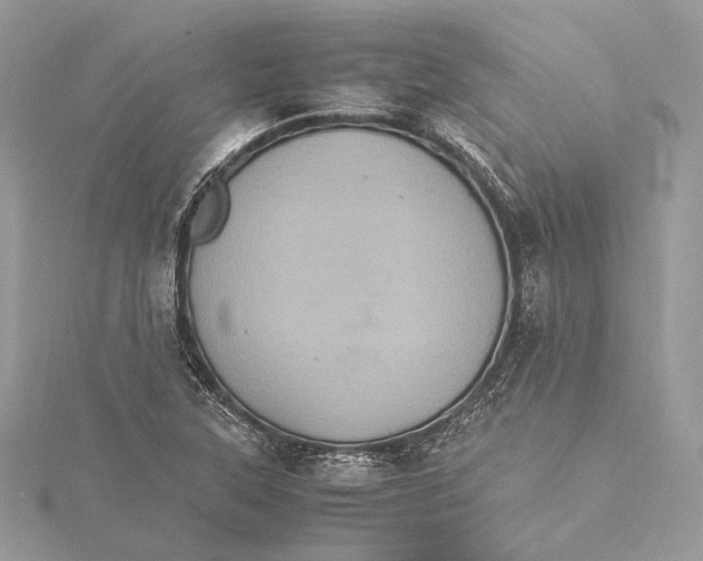 X0000115561315200912041045