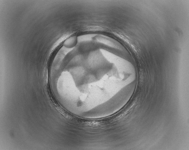 X0000115561317200912041045