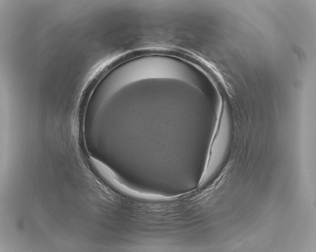 X0000115561319200912041045