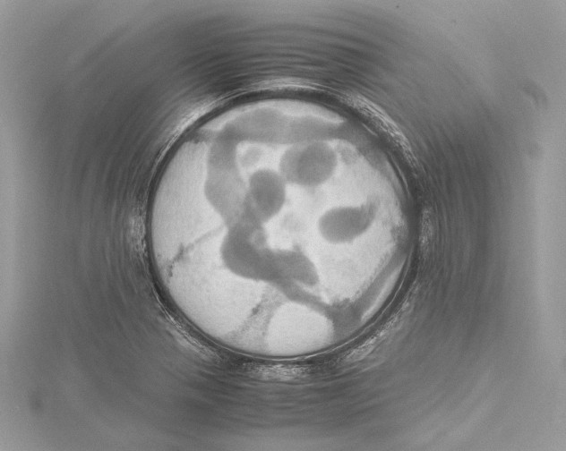 X0000115561321200912041045