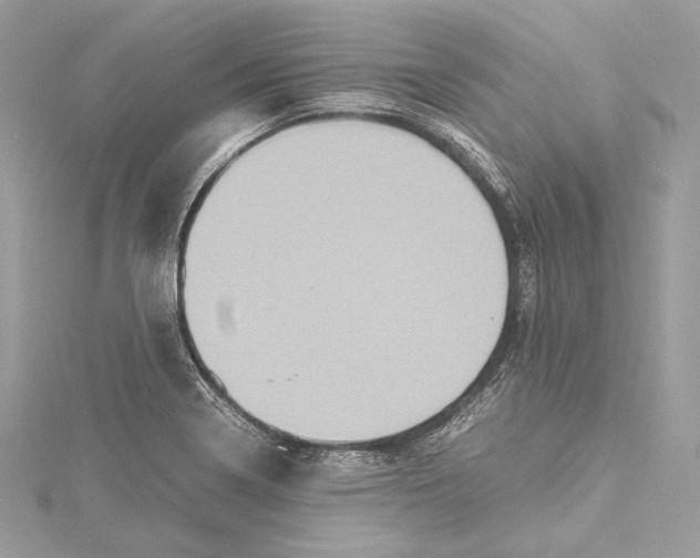 X0000115561322200912041045