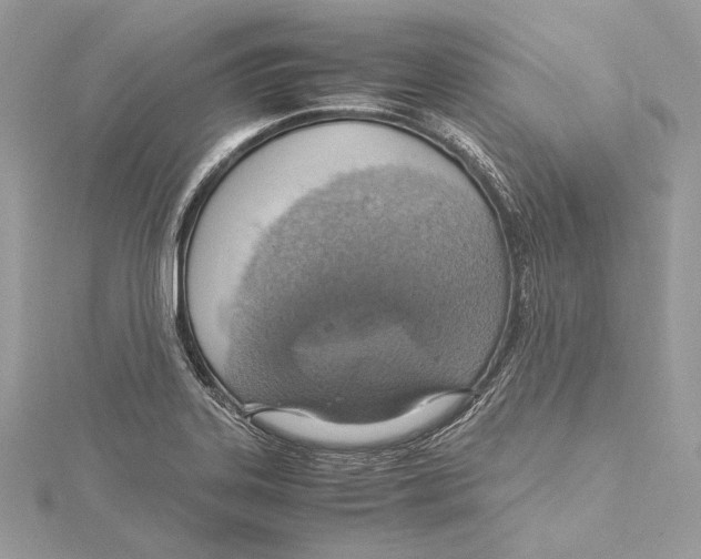 X0000115561323200912041045