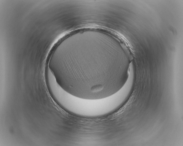 X0000115561326200912041045