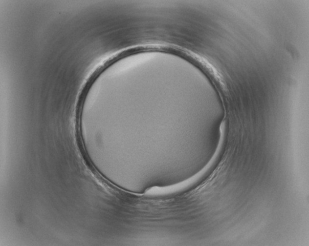 X0000115561327200912041045