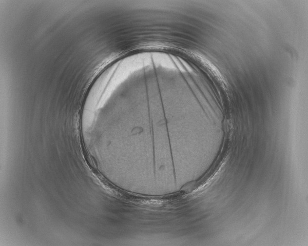 X0000115561329200912041045