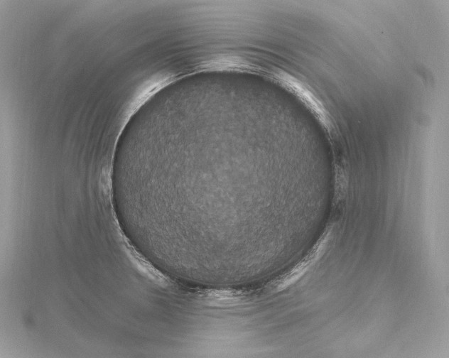 X0000115561330200912041045