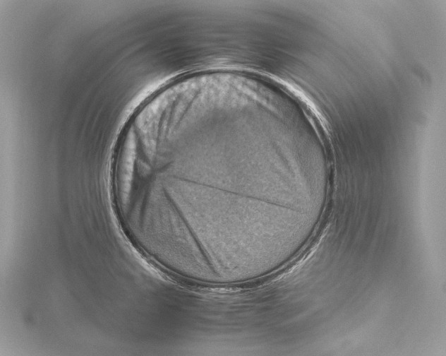 X0000115561333200912041045