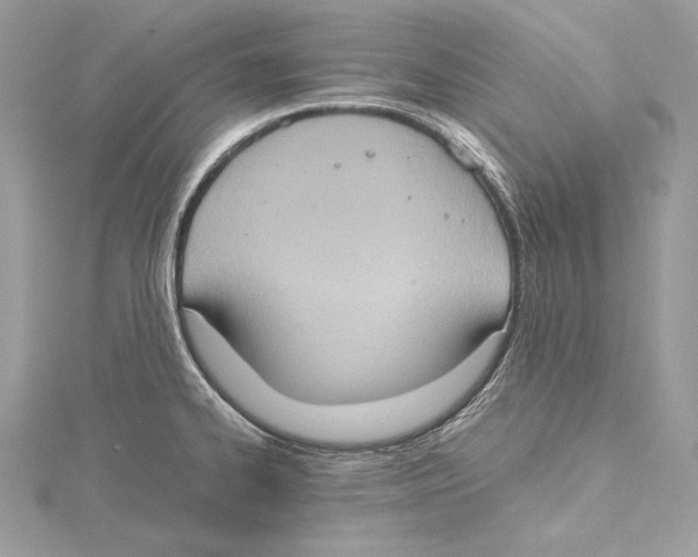 X0000115561334200912041045