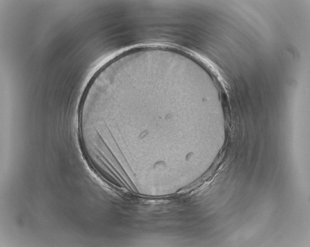 X0000115561335200912041045