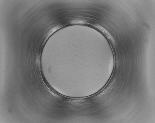 X0000115561337200912041045