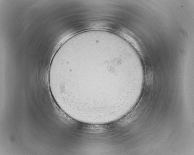 X0000115561338200912041045