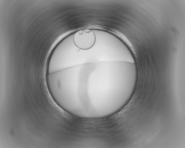 X0000115561339200912041045