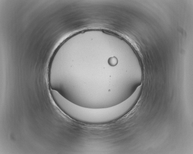 X0000115561342200912041045