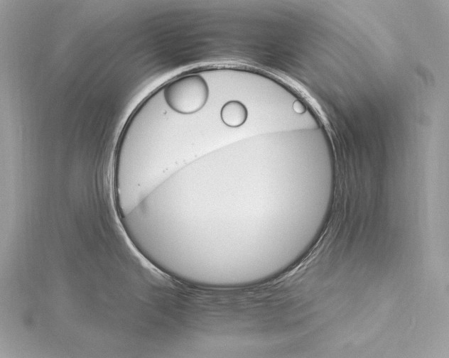 X0000115561343200912041045