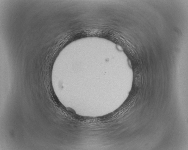 X0000115561345200912041044