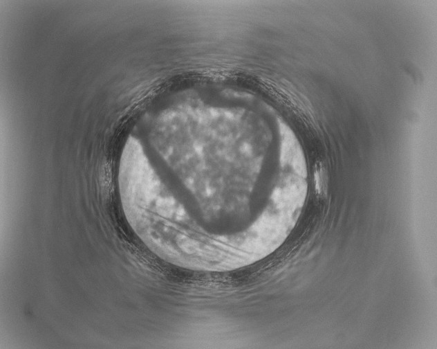 X0000115561347200912041044