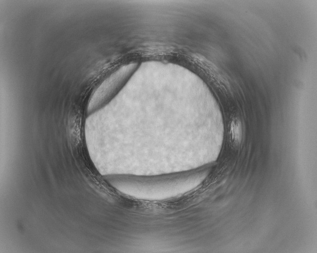 X0000115561348200912041044