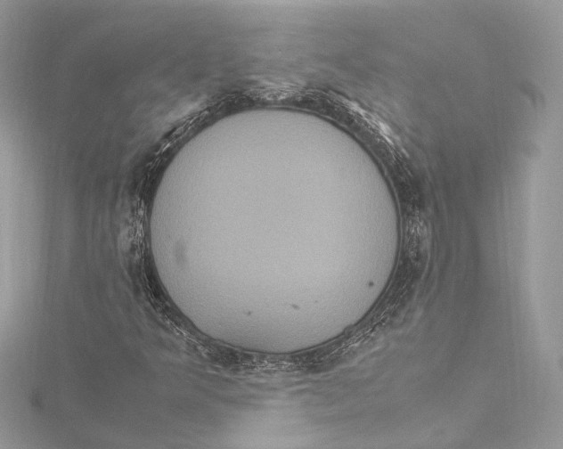 X0000115561349200912041044