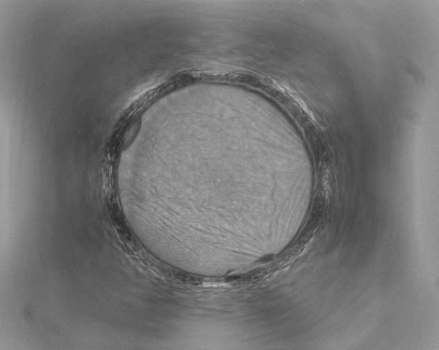 X0000115561350200912041044