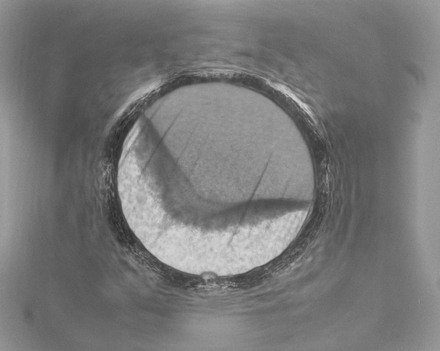 X0000115561351200912041044