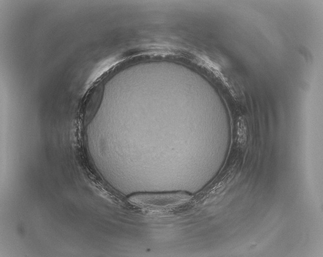 X0000115561352200912041044