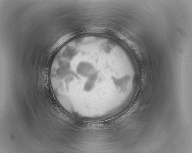 X0000115561354200912041044