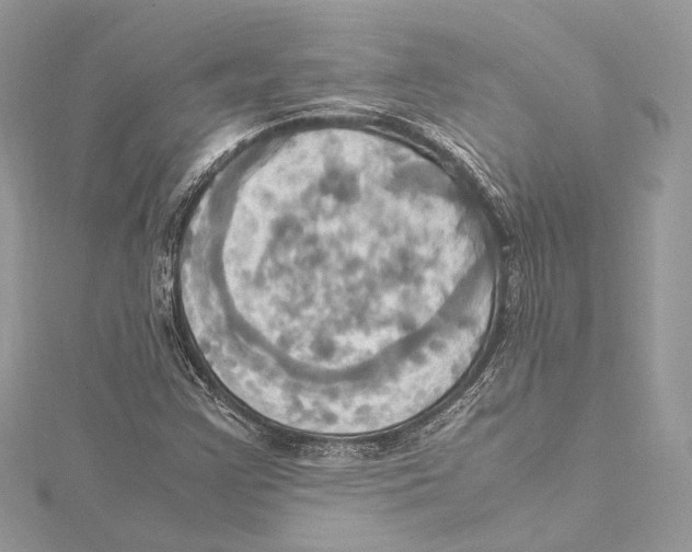 X0000115561355200912041044