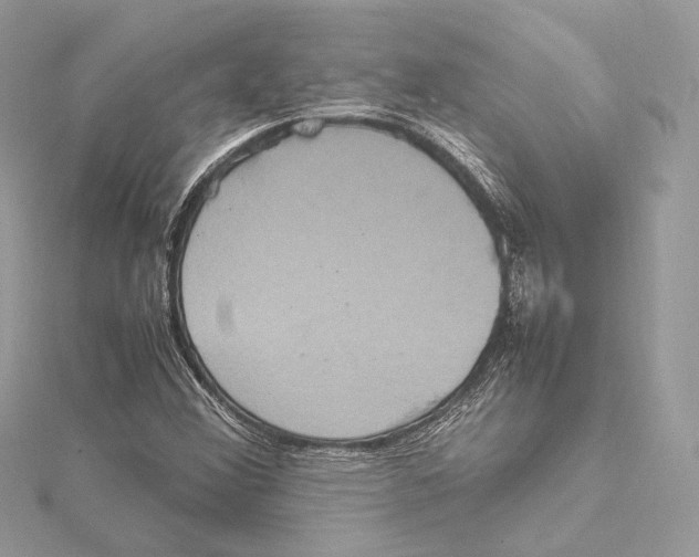 X0000115561356200912041044