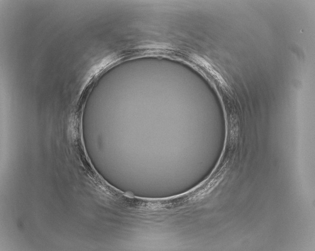 X0000115561357200912041044