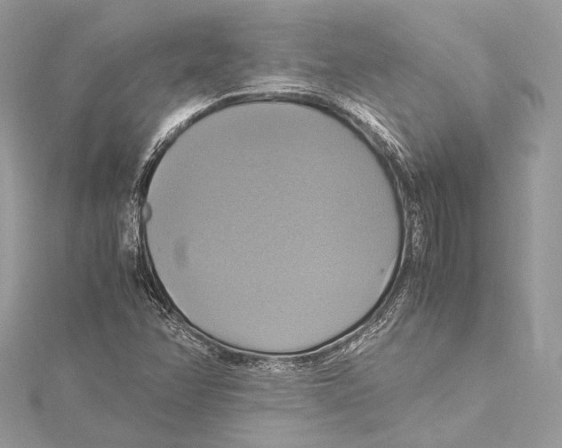 X0000115561358200912041044