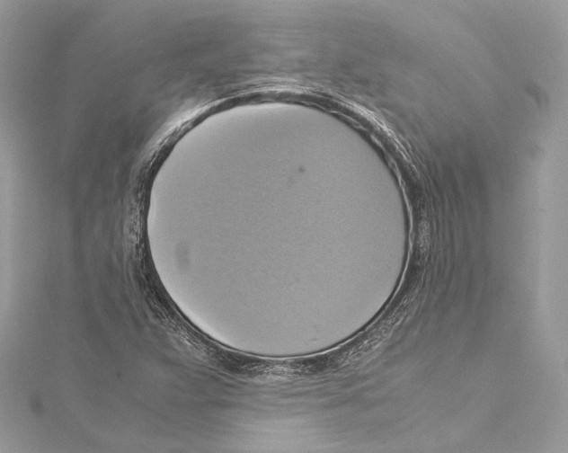 X0000115561359200912041044